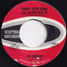画像をギャラリービューアに読み込む, Shirelles - Tonight You're Gonna Fall In Love With Me / 20th Century Rock N' Roll (7 inch Record / Used)