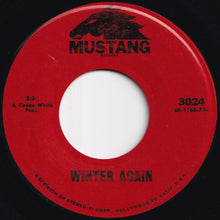 Load image into Gallery viewer, Felice Taylor - It May Be Winter Outside (But In My Heart It's Spring) / Winter Again (7 inch Record / Used)