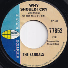 Load image into Gallery viewer, Sandals - Tell Us Dylan / Why Should I Cry (7 inch Record / Used)