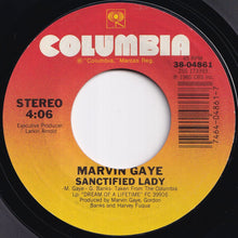 Load image into Gallery viewer, Marvin Gaye - Sanctified Lady / (Instrumental) (7 inch Record / Used)