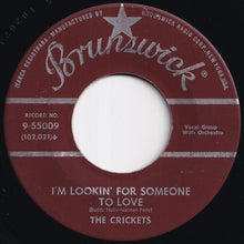 画像をギャラリービューアに読み込む, Crickets - That'll Be The Day / I'm Lookin' For Someone To Love (7 inch Record / Used)