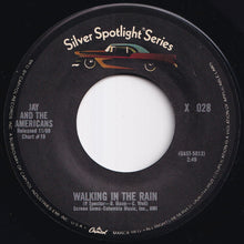 Load image into Gallery viewer, Jay And The Americans - This Magic Moment / Walking In The Rain (7 inch Record / Used)