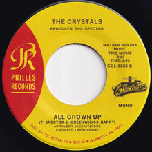Load image into Gallery viewer, Crystals - Da Doo Ron Ron / All Grown Up (7 inch Record / Used)