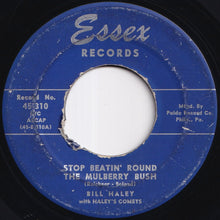 Load image into Gallery viewer, Bill Haley With Haley's Comets - Stop Beatin' Round The Mulberry Bush / Real Rock Drive (7 inch Record / Used)