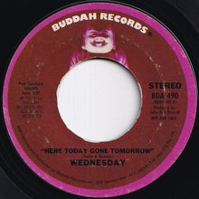 Load image into Gallery viewer, Wednesday - Here Today Gone Tomorrow (Stereo) / (Mono) (7 inch Record / Used)
