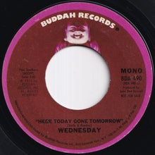 Load image into Gallery viewer, Wednesday - Here Today Gone Tomorrow (Stereo) / (Mono) (7 inch Record / Used)