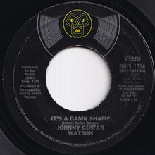 Load image into Gallery viewer, Johnny Guitar Watson - It's A Damn Shame / Love That Will Not Die (7 inch Record / Used)