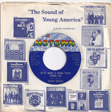 Load image into Gallery viewer, David Ruffin - I've Lost Everything I've Ever Loved / We'll Have A Good Thing Going On (7 inch Record / Used)