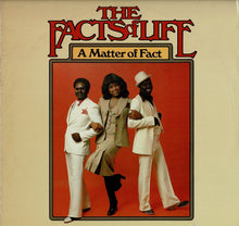 画像をギャラリービューアに読み込む, Facts Of Life - A Matter Of Fact (LP Record / Used)