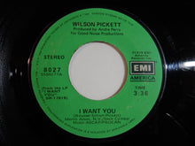 画像をギャラリービューアに読み込む, Wilson Pickett - I Want You / Love Of My Life (7inch-Vinyl Record/Used)