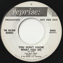 Load image into Gallery viewer, Rockin' Berries - What In The World's Come Over You / You Don't Know What You Do (7 inch Record / Used)