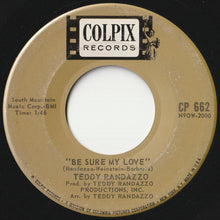 Load image into Gallery viewer, Teddy Randazzo - Big Wide World / Be Sure My Love (7 inch Record / Used)