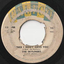 画像をギャラリービューアに読み込む, Skyliners - Since I Don't Have You / One Night, One Night (7 inch Record / Used)