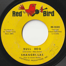 画像をギャラリービューアに読み込む, Shangri-Las - I Can Never Go Home Anymore / Bull Dog (7 inch Record / Used)