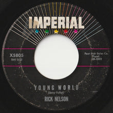 画像をギャラリービューアに読み込む, Rick Nelson - Young World / Summertime (7 inch Record / Used)