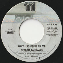 画像をギャラリービューアに読み込む, Detroit Emeralds - Feel The Need / Love Has Come To Me (7 inch Record / Used)
