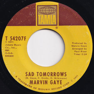 Marvin Gaye - Mercy Mercy Me (The Ecology) / Sad Tomorrows (7 inch Record / Used)