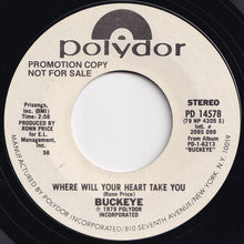 Load image into Gallery viewer, Buckeye - Where Will Your Heart Take You (Mono) / (Stereo) (7 inch Record / Used)