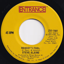 画像をギャラリービューアに読み込む, Steve Alaimo - Amerikan Music / Nobody's Fool (7 inch Record / Used)
