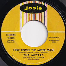 画像をギャラリービューアに読み込む, Meters - Cissy Strut / Here Comes The Meter Man (7 inch Record / Used)