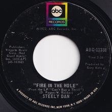 画像をギャラリービューアに読み込む, Steely Dan - Do It Again / Fire In The Hole (7 inch Record / Used)