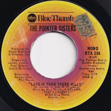 画像をギャラリービューアに読み込む, Pointer Sisters - Love In Them There Hills / Fairytale (7 inch Record / Used)