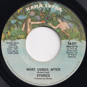 Stories - Brother Louie / What Comes After (7 inch Record / Used)