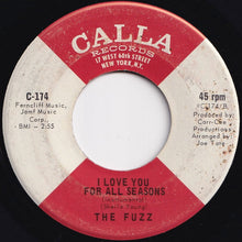 画像をギャラリービューアに読み込む, Fuzz - I Love You For All Seasons / (Instrumental) (7 inch Record / Used)