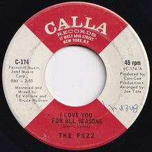 画像をギャラリービューアに読み込む, Fuzz - I Love You For All Seasons / (Instrumental) (7 inch Record / Used)