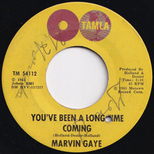 画像をギャラリービューアに読み込む, Marvin Gaye - I'll Be Doggone / You've Been A Long Time Coming (7 inch Record / Used)