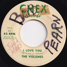 画像をギャラリービューアに読み込む, Volumes - I Love You / Dreams (7 inch Record / Used)