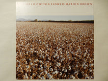 画像をギャラリービューアに読み込む, Marion Brown - November Cotton Flower (LP-Vinyl Record/Used)