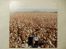 画像をギャラリービューアに読み込む, Marion Brown - November Cotton Flower (LP-Vinyl Record/Used)