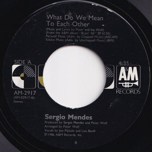 Sergio Mendes - What Do We Mean To Each Other / Flower Of Bahia (Flor Da Bahia) (7 inch Record / Used)