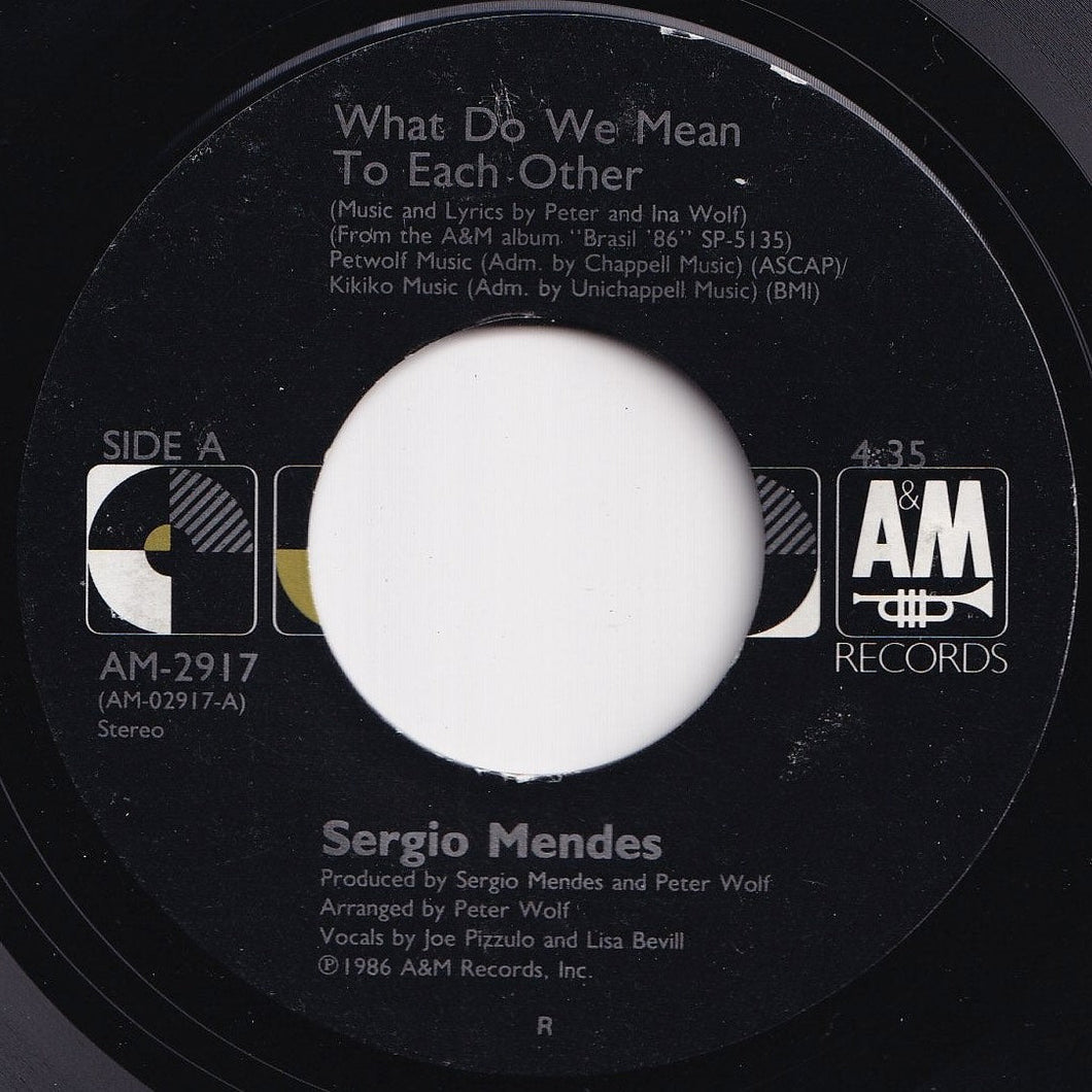 Sergio Mendes - What Do We Mean To Each Other / Flower Of Bahia (Flor Da Bahia) (7 inch Record / Used)