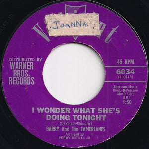 Barry And The Tamerlanes - I Wonder What She's Doing Tonight / Don't Go (7 inch Record / Used)