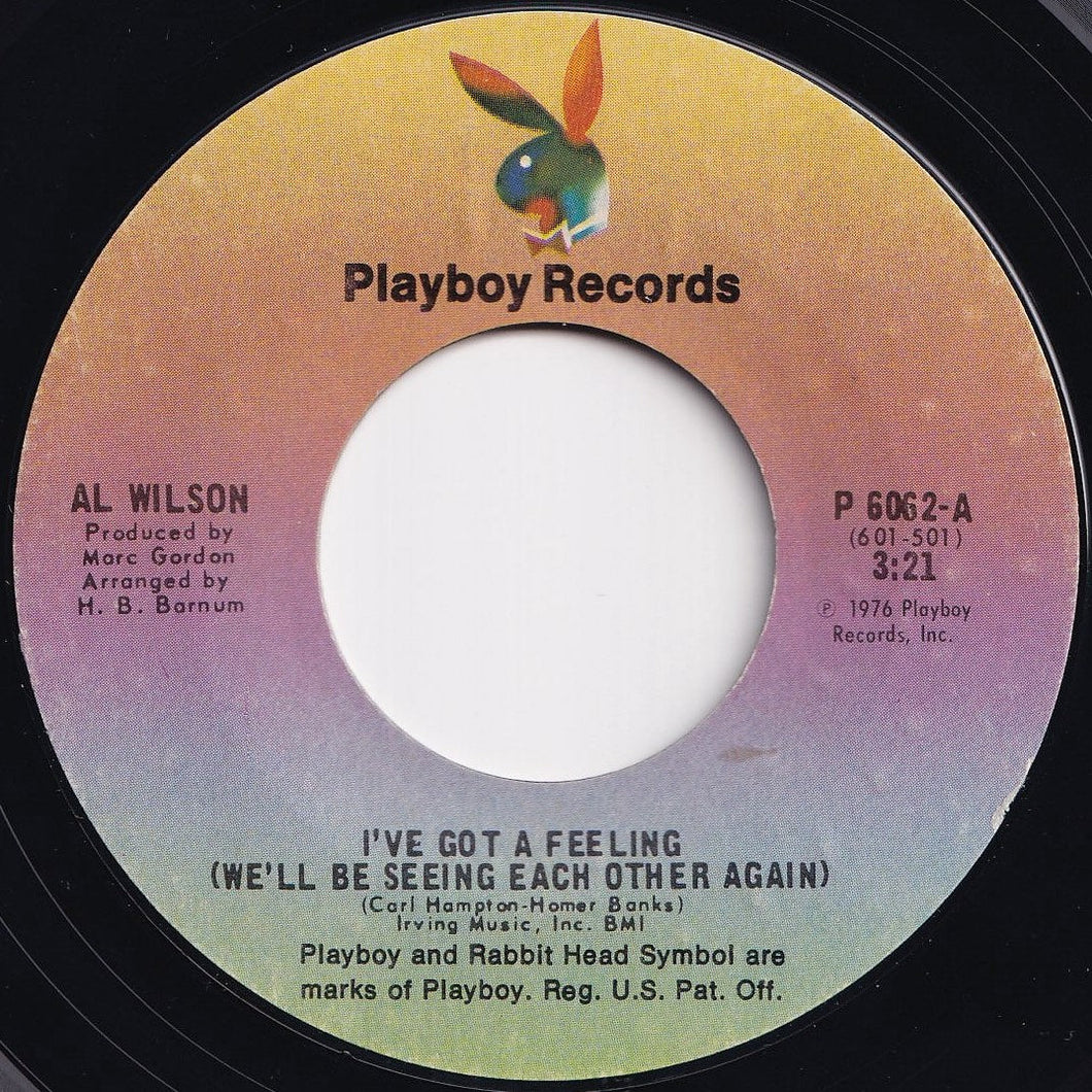 Al Wilson - I've Got A Feeling (We'll Be Seeing Each Other Again) / Be Concerned (7 inch Record / Used)