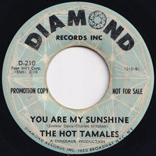 画像をギャラリービューアに読み込む, Hot Tamales - Out Of Sight / You Are My Sunshine (7 inch Record / Used)
