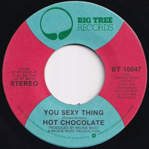 Hot Chocolate - You Sexy Thing / Amazing Skin Song (7 inch Record / Used)