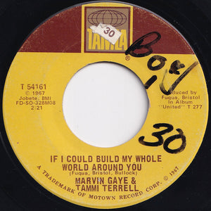 Marvin Gaye, Tammi Terrell - If I Could Build My Whole World Around You / If This World Were Mine (7 inch Record / Used)