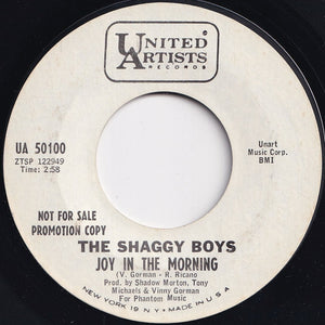 Shaggy Boys - You And Me / Joy In The Morning (7 inch Record / Used)