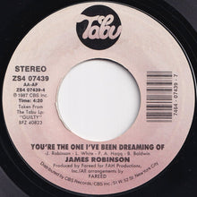 画像をギャラリービューアに読み込む, James Robinson - Just What I&#39;ve Been Missing / You&#39;re The One I&#39;ve Been Dreaming Of (7 inch Record / Used)
