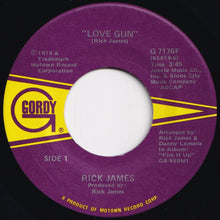 画像をギャラリービューアに読み込む, Rick James - Love Gun / Stormy Love (7 inch Record / Used)
