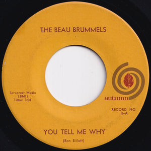 Beau Brummels - You Tell Me Why / I Want You (7 inch Record / Used)