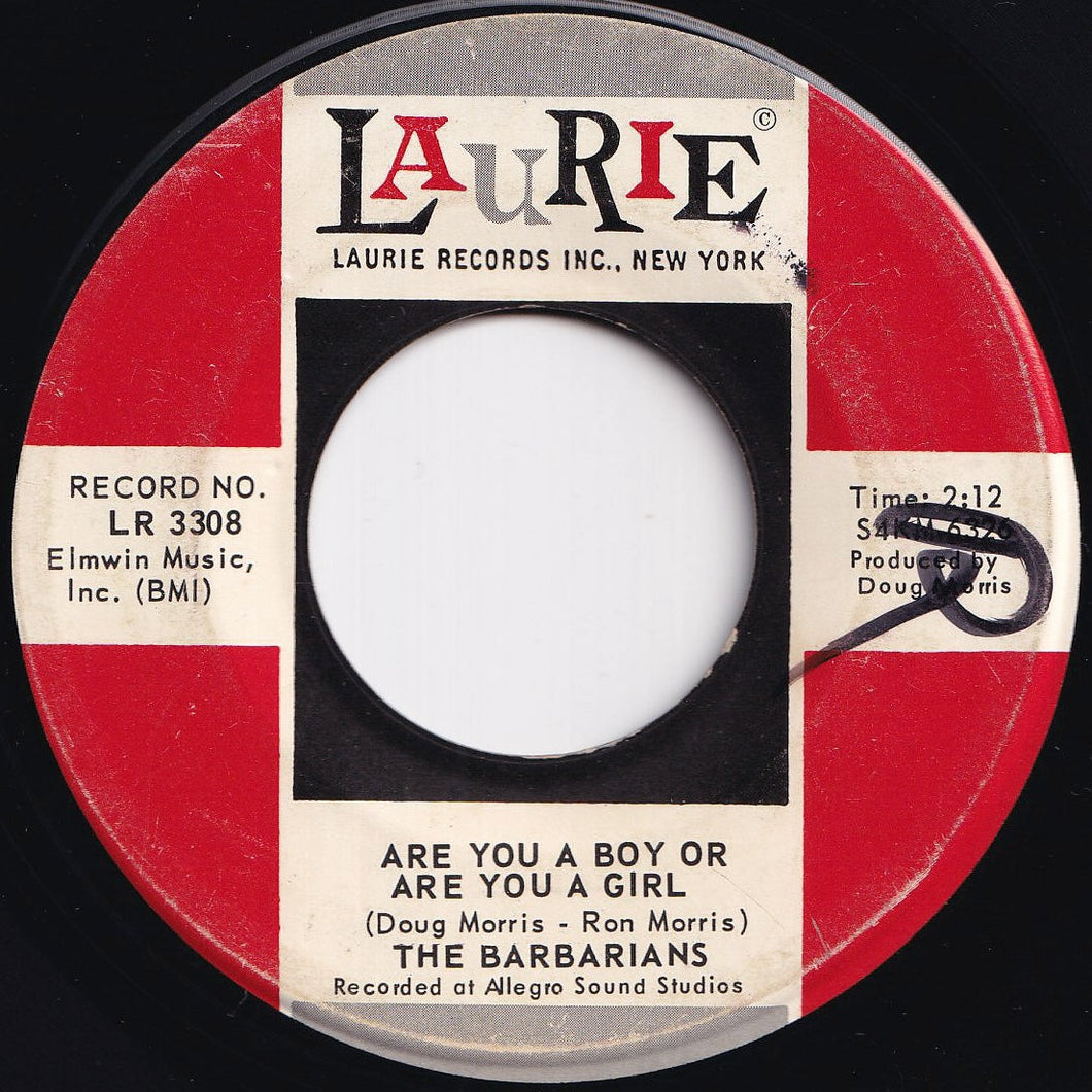 Barbarians - Are You A Boy Or Are You A Girl / Take It Or Leave It (7 inch Record / Used)