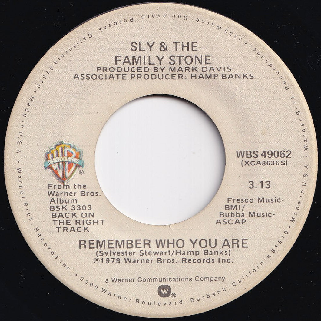 Sly & The Family Stone - Remember Who You Are / Sheer Energy (7 inch Record / Used)
