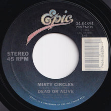 画像をギャラリービューアに読み込む, Dead Or Alive - You Spin Me Round (Like A Record) / Misty Circles (7 inch Record / Used)

