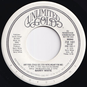 Barry White - Any Fool Could See (You Were Meant For Me) (Stereo) / (Mono) (7 inch Record / Used)