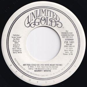 Barry White - Any Fool Could See (You Were Meant For Me) (Stereo) / (Mono) (7 inch Record / Used)