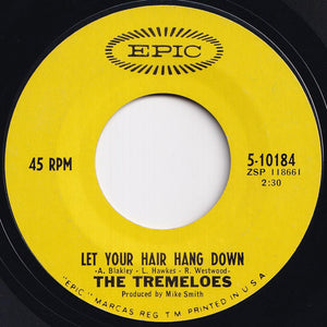 Tremeloes - Silence Is Golden / Let Your Hair Hang Down (7 inch Record / Used)